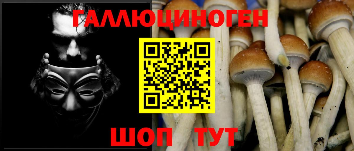 Псилоцибиновые грибы Psilocybine cubensis  Вход с VPN  Луховицы 